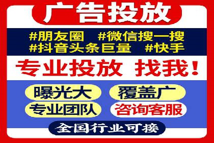 专业SEM服务公司案例分析报告